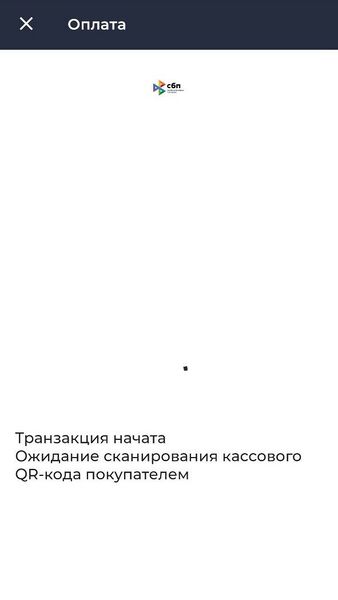 Файл:Продажа с использованием Кассовой ссылки.jpg