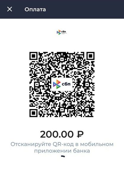 Файл:СБП НСПК экран считывания QR.jpg